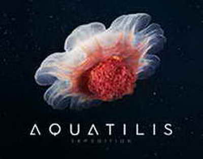 Bu yazdörd BÜRCÜN həyatı əbədi dəyişəcək